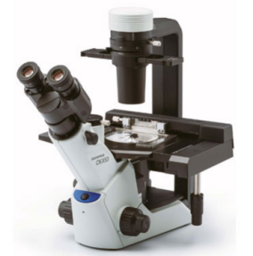 日本OLYMPUS 倒置生物显微镜