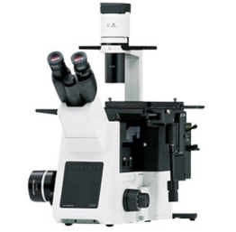 日本OLYMPUS 倒置生物显微镜