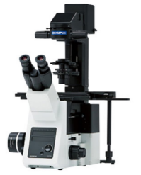 日本OLYMPUS 倒置生物显微镜