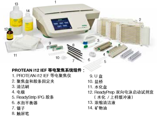 美国 伯乐 双向电泳系统（多通道等电聚焦系统）